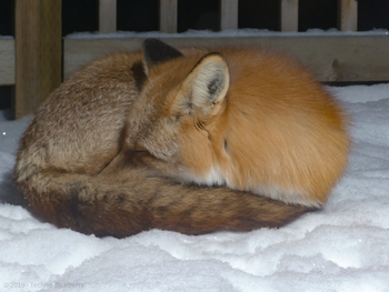 IMG_0023(watermarked)